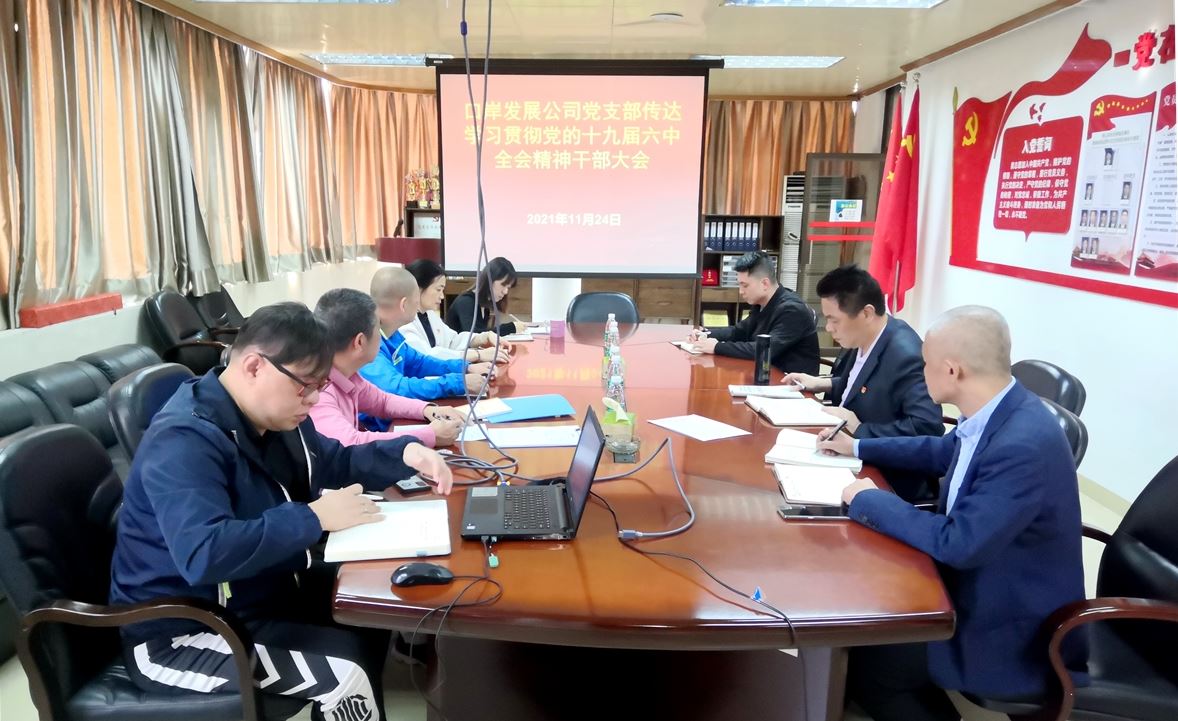口岸发展公司党支部传达学习贯彻党的十九届六中全会精神
