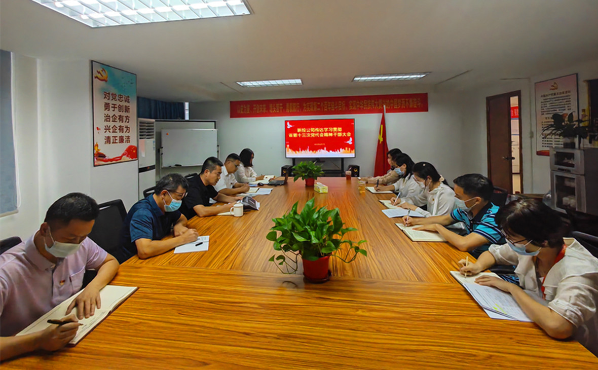 新投公司党支部召开传达学习贯彻省第十三次党代会精神干部大会