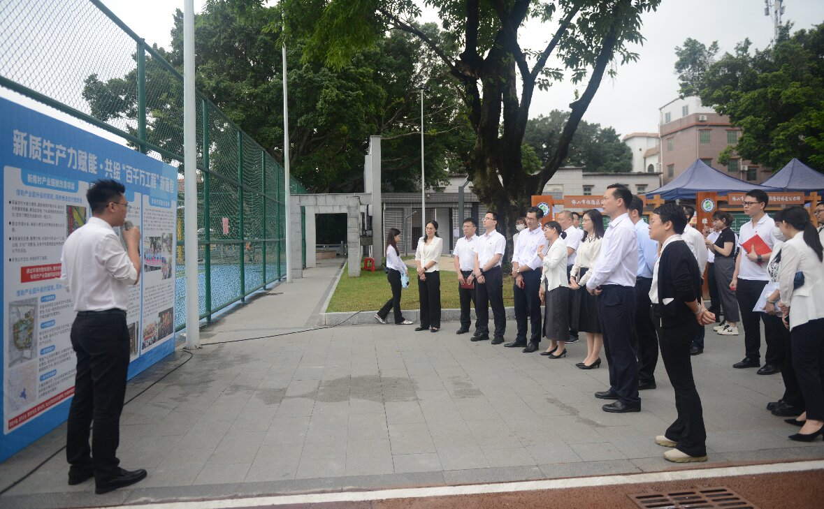 新质生产力赋能，共绘美丽乡村新画卷——电子口岸公司党支部与三龙湾公司党支部联合开展主题党日活动